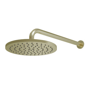 CoreMist Shower Head & Arm Brushed Brass