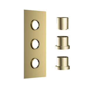 Brushed Brass Concealed Plate with Sleeves (Triple Outlet)