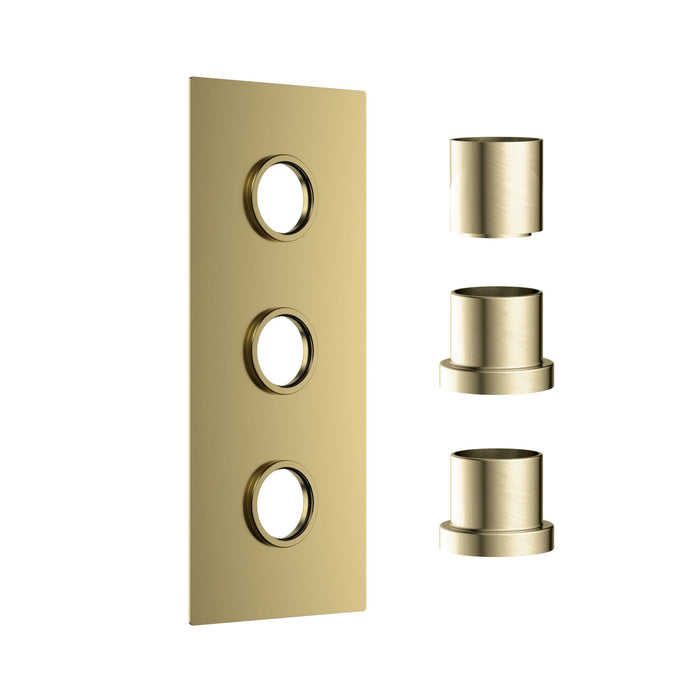 Brushed Brass Concealed Plate with Sleeves (Triple Outlet)